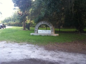 The historic Wormsloe