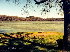 A view of the Savannah River